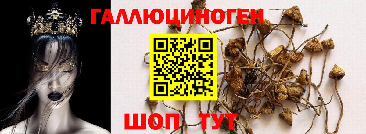 Галлюциногенные грибы прущие грибы Новозыбков